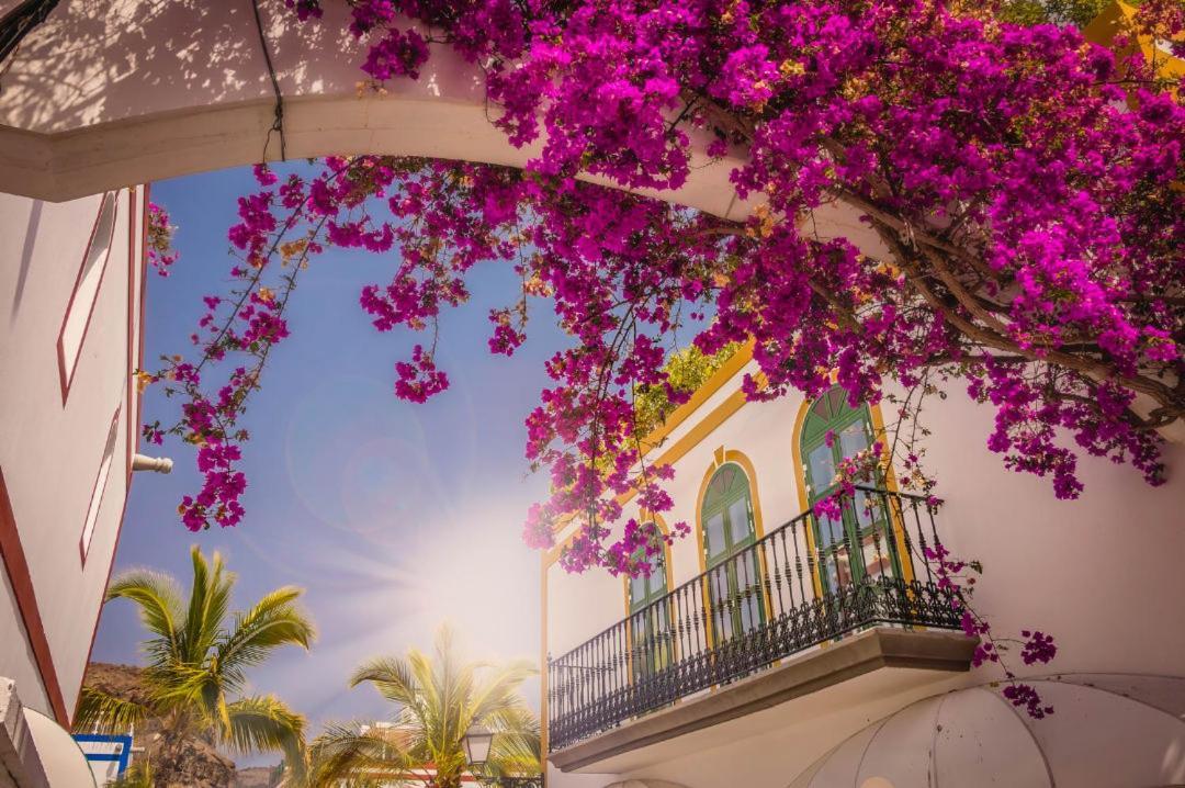 20 Metres From The Sea In Puerto De Moganアパートメント エクステリア 写真